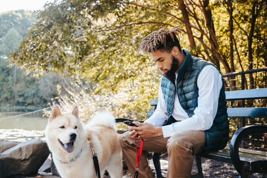 Man scrolling through social app's feed on his phone while ignoring his pet